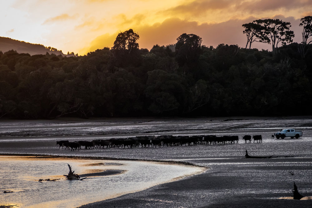 New Zealand